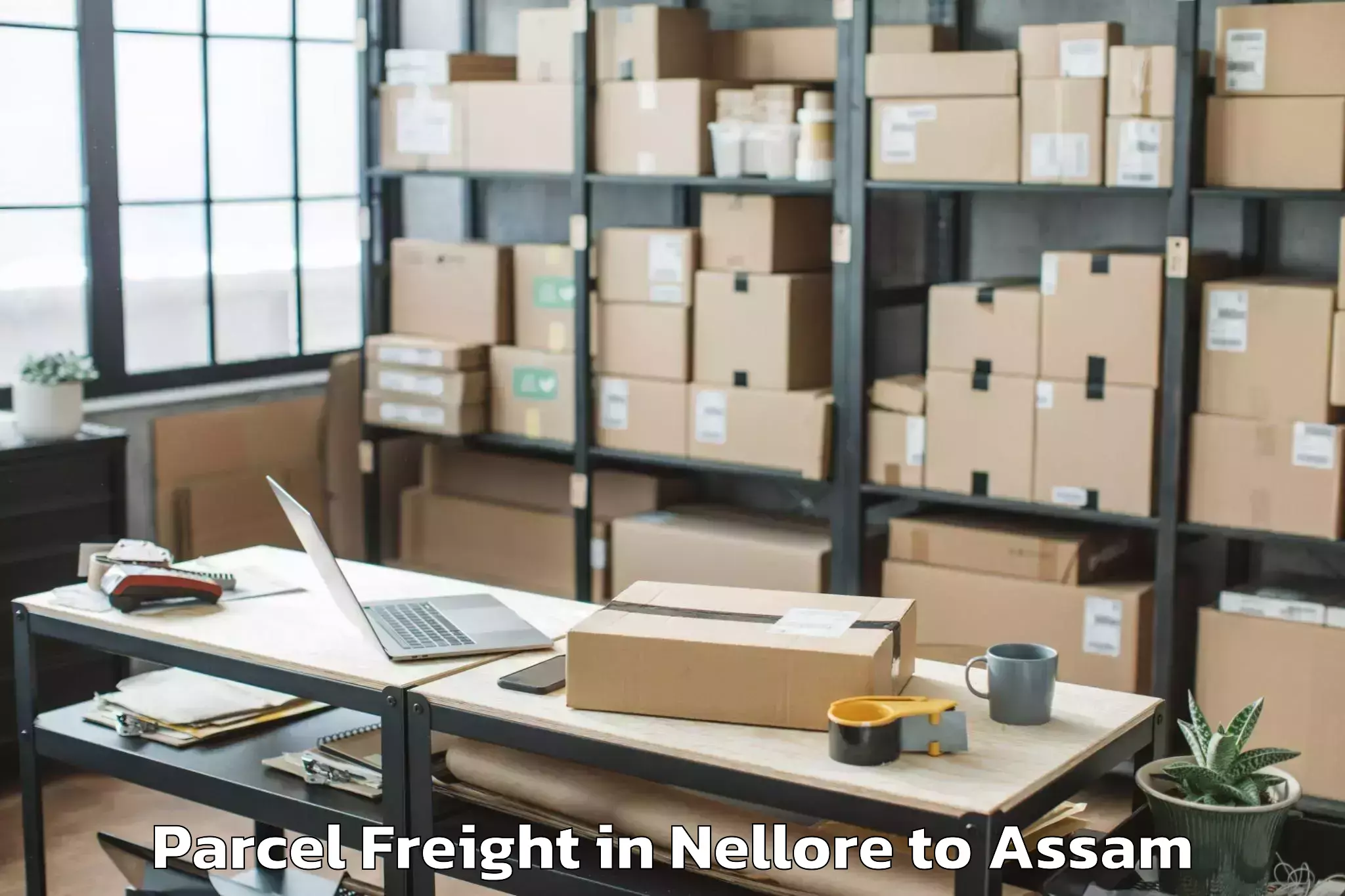 Book Nellore to Dhubri Parcel Freight